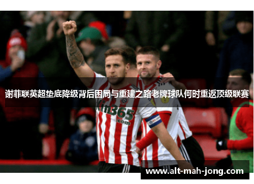 谢菲联英超垫底降级背后困局与重建之路老牌球队何时重返顶级联赛